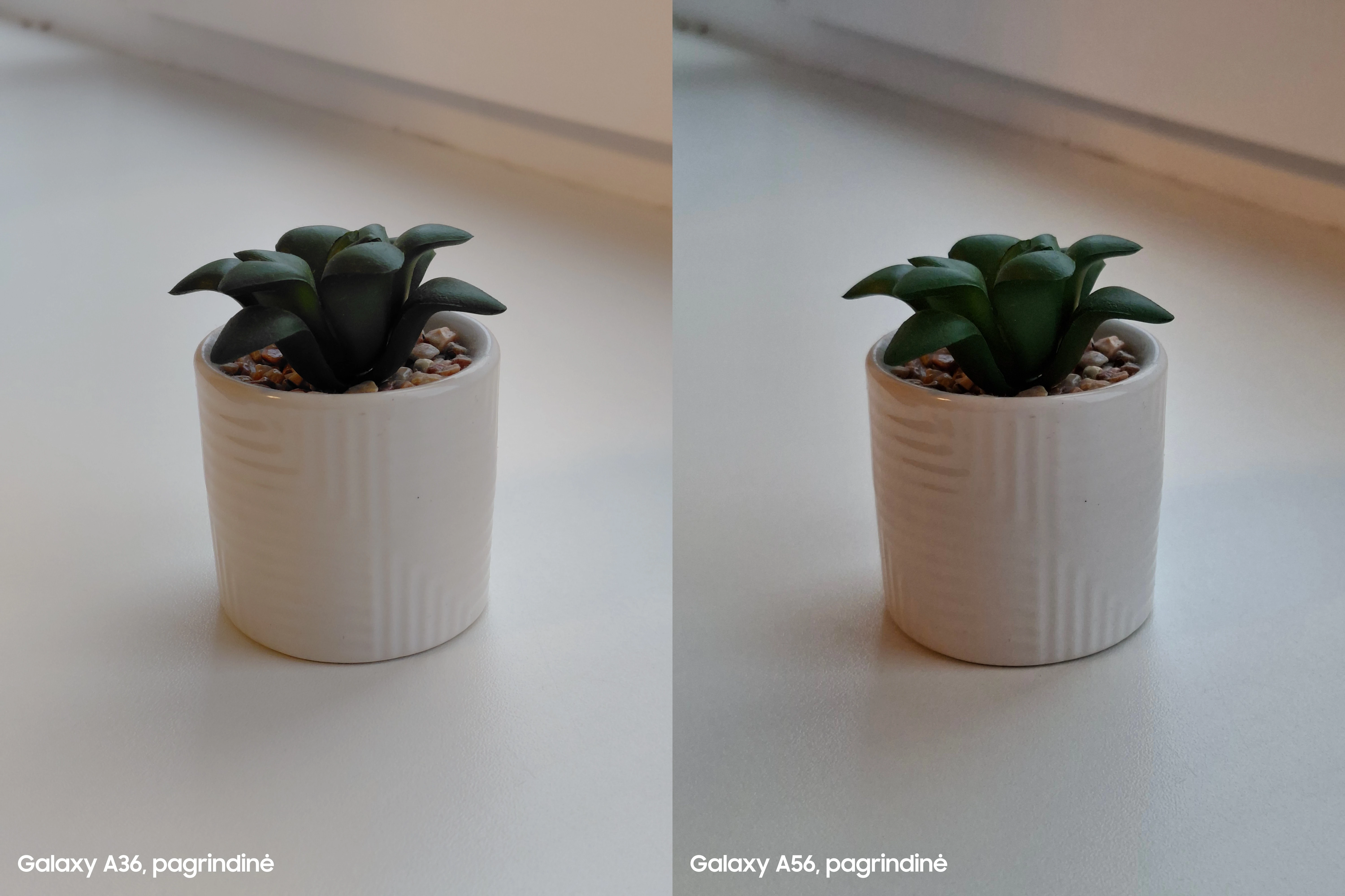 Užfiksuota su Galaxy A36 ir Galaxy A56